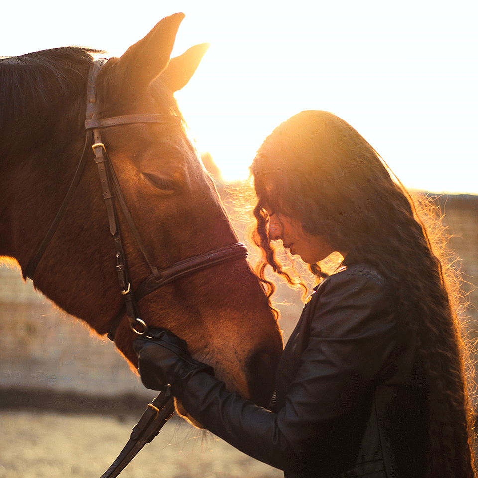 faire le deuil de son cheval