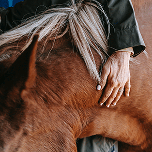 massage cheval