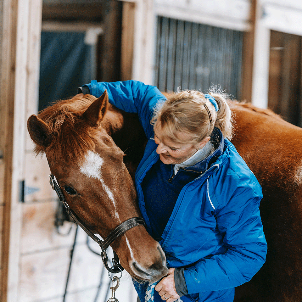 osteopathe equin