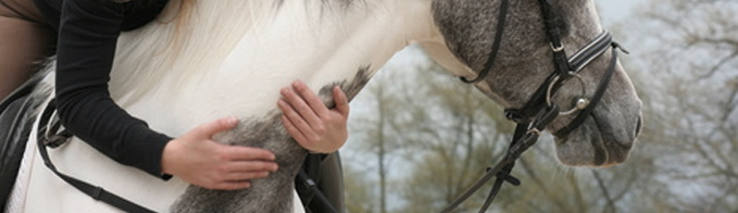 Cavalière et son cheval