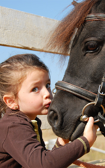 Une fillette embrasse un cheval