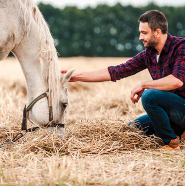 Un homme caresse la tête d'un cheval blanc